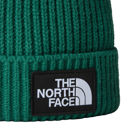 detail ČEPICE TNF LOGO BOX CUFFED - NÍZKÁ VERZE