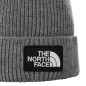 náhled ČEPICE TNF LOGO BOX CUFFED - NÍZKÁ VERZE